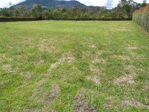 parcela_venta_oriente